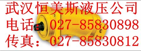 軸向柱塞泵63PCY14-1B